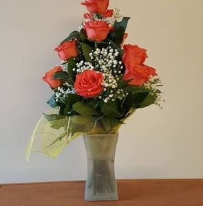 Meet your Posher, Anite